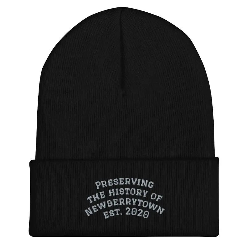 Preserving Newberrytown beanie 