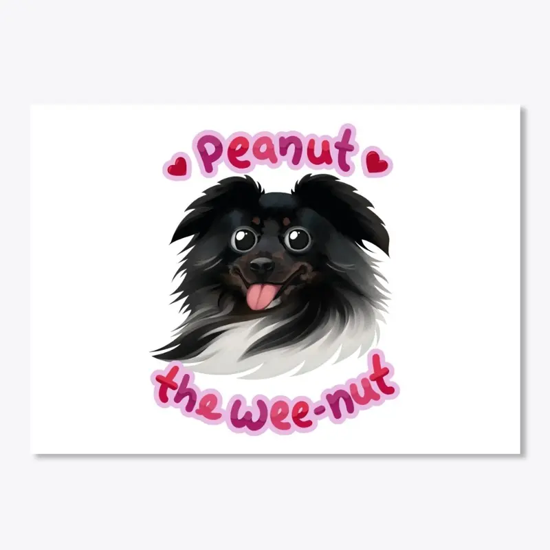 Peanut the Wee-Nut! 